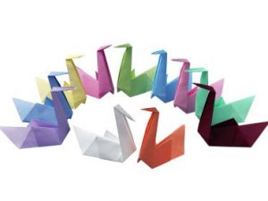 Traypapier TOP TRAY 28 x 36 cm